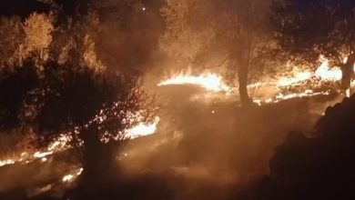 balikesirde zeytinlik alanda cikan yangina ekipler mudahale ediyor dfc317e11769 |