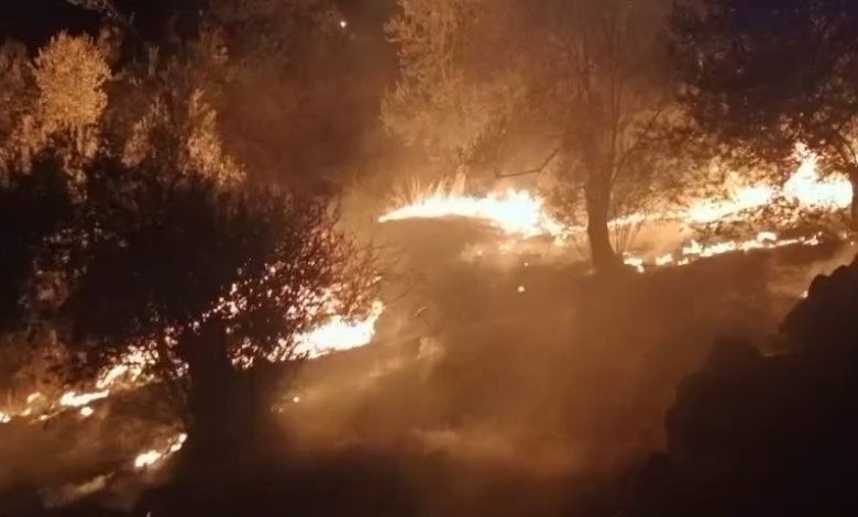 Balıkesir’de zeytinlik alanda çıkan yangına ekipler müdahale ediyor 1 balikesirde zeytinlik alanda cikan yangina ekipler mudahale ediyor dfc317e11769 |