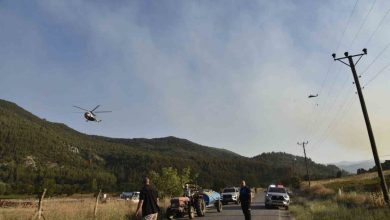 balikesirdeki orman yangini kontrol altina alindi d56aea51eed6 |