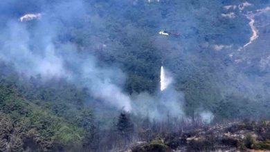 balikesirdeki orman yanginina havadan mudahale tekrar basladi 2ae370026c6f |