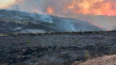 bandirma osb yakinlarindaki arazi yangini sonduruldu a96b73f66ccf |