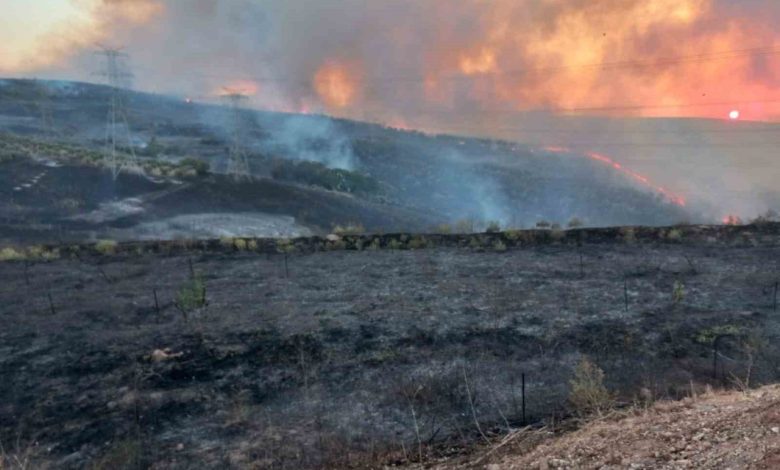 bandirma osb yakinlarindaki arazi yangini sonduruldu a96b73f66ccf |