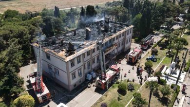 bandirmada koyunculuk arastirma enstitusunun catisinda yangin panigi 1406ecf2a7b8 |