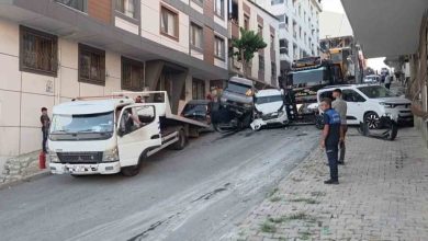 basaksehirde kontrolden cikan vinc dehset sacti 8f79e02cccc4 |