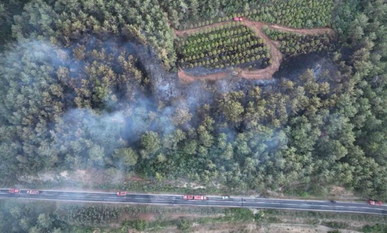 bayramicteki orman yangini kontrol altina alindi a395a4e8a1b2 |