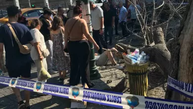 besiktasta kaldirimda giden 3 kisinin uzerine agac devrildi 734862b5be6e |