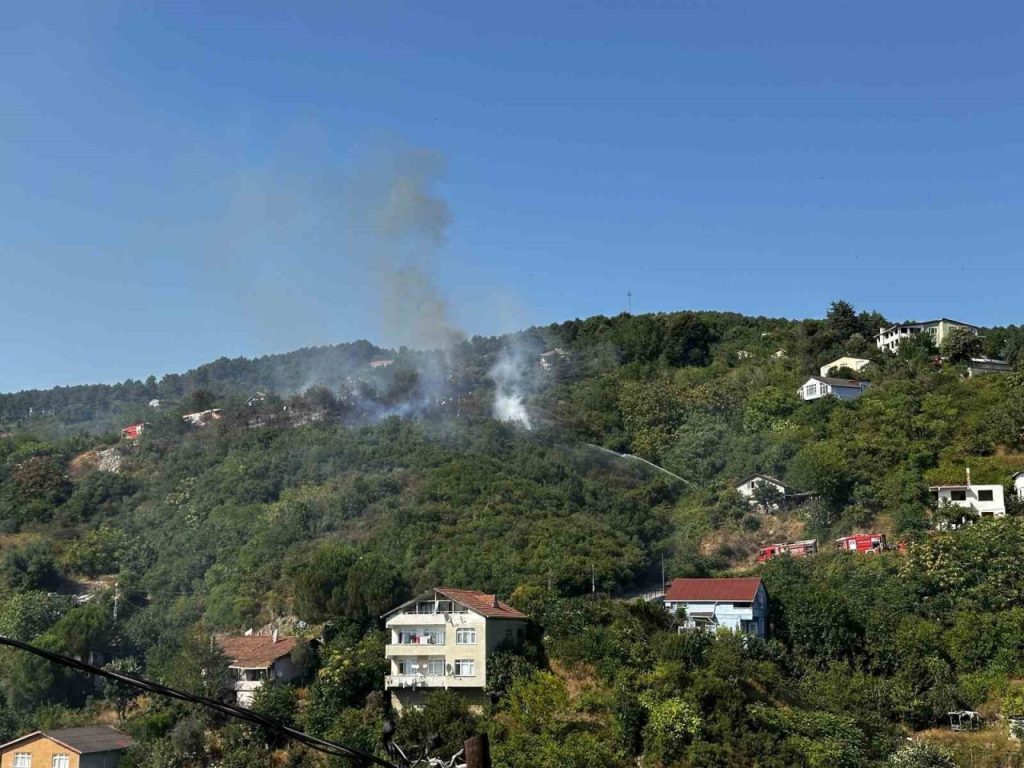 beykozda bulunan ormanlik alanda yangin cikti olay yerine cok sayida itfaiye ekibi sevk edildi 38b8dd8b0a95 |