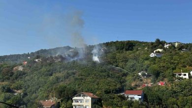 beykozda bulunan ormanlik alanda yangin cikti olay yerine cok sayida itfaiye ekibi sevk edildi 38b8dd8b0a95 |