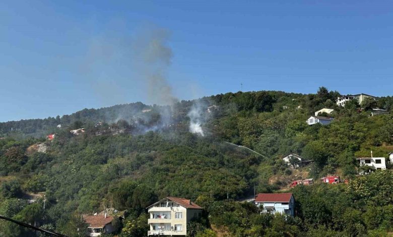 beykozda ormanlik alanda cikan yangin sonduruldu 7d09e194a0aa |