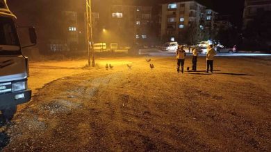 Beypazarı’nda kümes yangını: 41 tavuk telef oldu 2 beypazarinda kumes yangini 41 tavuk telef oldu 7ace56ac515e |