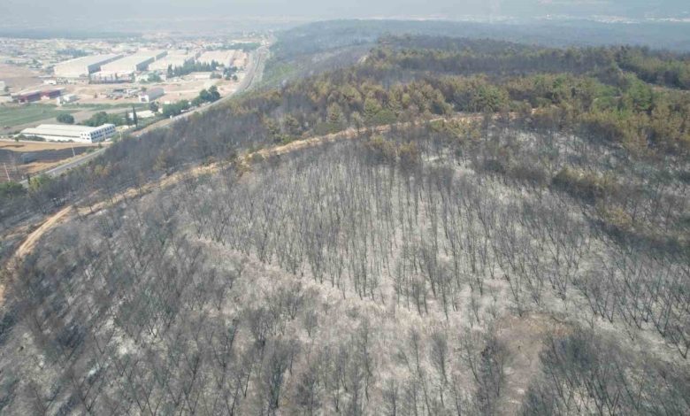 Buca’daki yangının tahribatı havadan görüntülendi 1 bucadaki yanginin tahribati havadan goruntulendi 6e8c2b732ae7 |