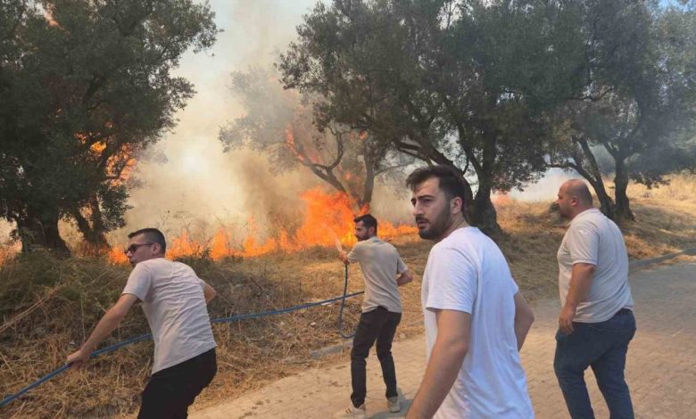 bursada 20 zeytin agaci yandi 2 cocuk gozaltinda d1ae9a085704 |