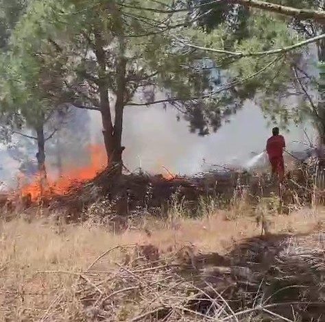 Bursa’da ağaçlık alanda çıkan yangına müdahale ediliyor 1 bursada agaclik alanda cikan yangina mudahale ediliyor c67877379791 |