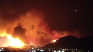 bursada orman yangini karahidir mahallesine ulasti 721b07046124 |