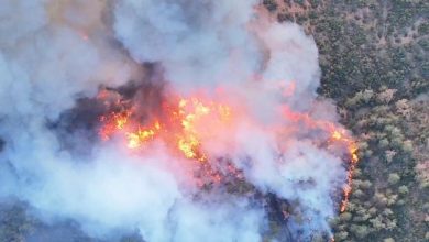 bursadaki orman yanginlari buyuyor ada4d73eaefd |