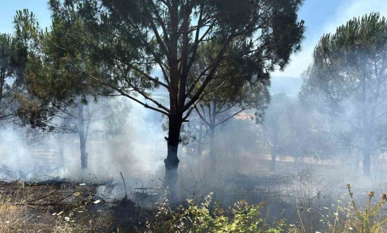 bursadaki yangin kontrol altina alindi 63e497e8fbf0 |