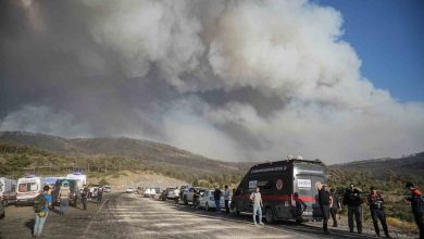 bursadaki yanginlara buyuksehirden 185 arac ve 568 personelle mudahale 8352f5da63b0 |