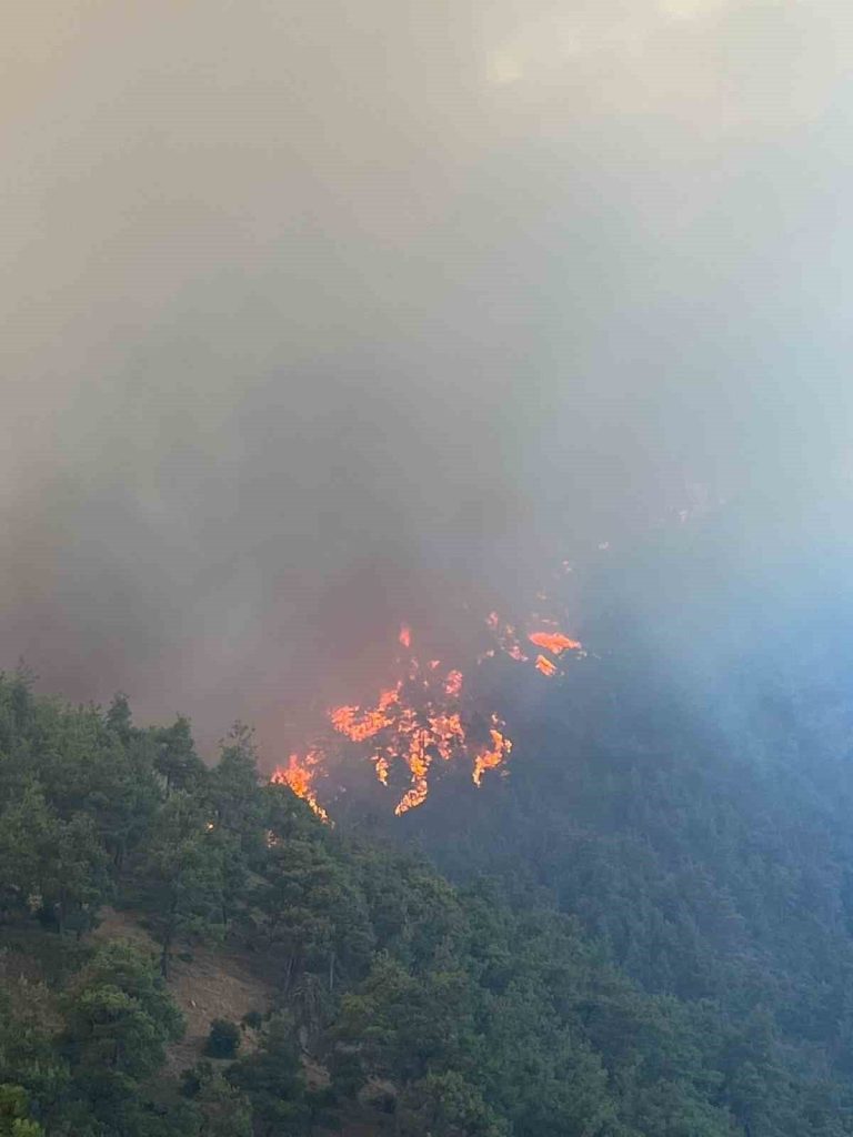 bursanin cigerleri yaniyor 41274c971670 |