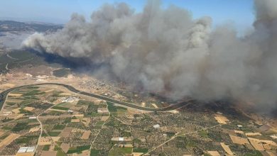 canakkale valisi toraman ayvaciktaki orman yanginini havadan kontrol etti 56c58b936f34 |