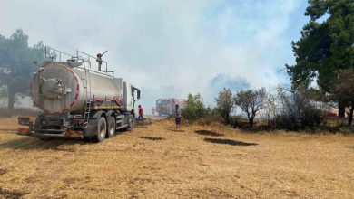 canakkalede orman yangini kontrol altina alindi 605b56d4fbad |