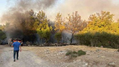 canakkalede park halindeki midibuste cikan yangin ormana sicradi d9ea5af25fd8 |