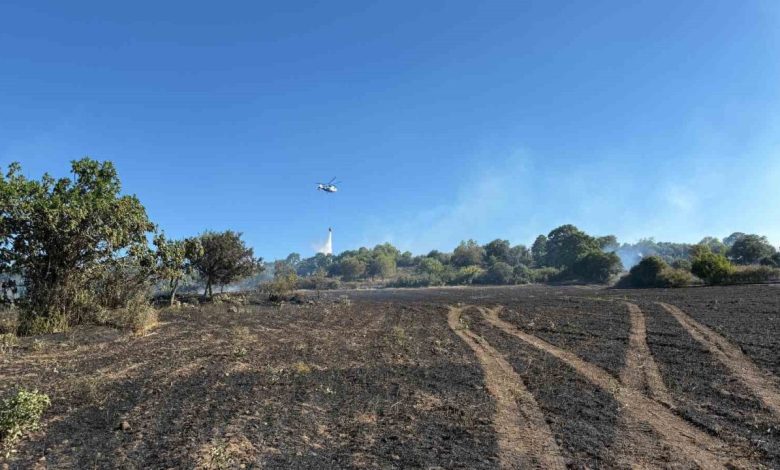 canakkalede tarim arazisinde cikan yangin kontrol altina alindi d07e09dbd194 |