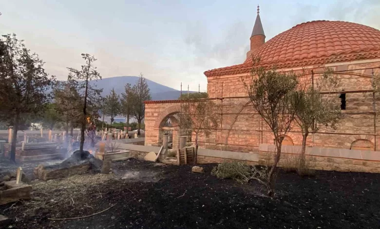 canakkaledeki orman yangininda tarihi mezarlar zarar gordu e7f1fa258218 |