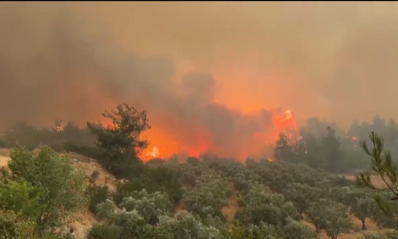 Cepheye gider gibi alevlerin üzerine böyle gittiler 1 cepheye gider gibi alevlerin uzerine boyle gittiler 600d3fe4fa07 |