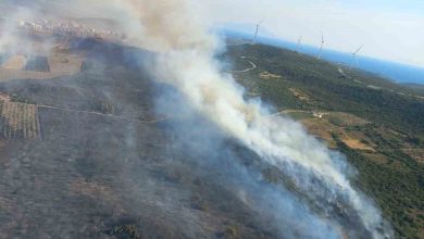 cesme ve odemiste orman yanginlari devam ediyor 25ff264aa12d |