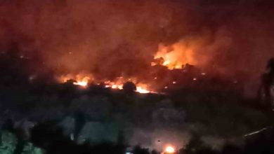 dikilide orman yangini canakkale yolu ulasima kapatildi 003dffdbad53 |