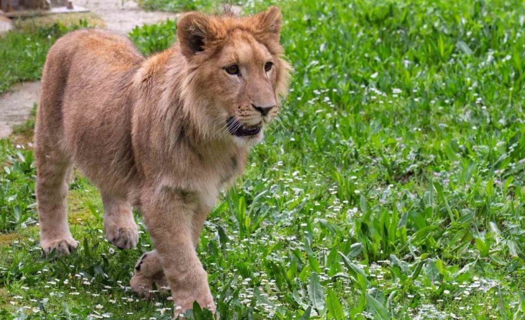 dogadan kurtarildi olume gonderildi f24fc0299778 e1752326584585 |