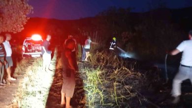 erdekte bogurtlenlik alanda cikan yangin sonduruldu 1df82707b0d1 |