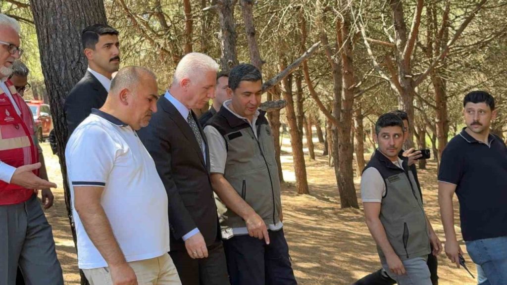 istanbul valisi davut gul sultangazi kent ormaninda incelemelerde bulundu yangin kontrol altina alindi 3d9ff03eccc3 |