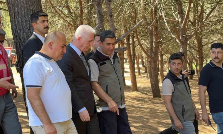 istanbul valisi davut gul sultangazi kent ormaninda incelemelerde bulundu yangin kontrol altina alindi 3d9ff03eccc3 |
