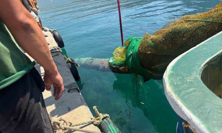 İzmir Karaburun’da balıkçı ağına denizaltı torpidosu takıldı 1 izmir karaburunda balikci agina denizalti torpidosu takildi ab97ffb23e9f |
