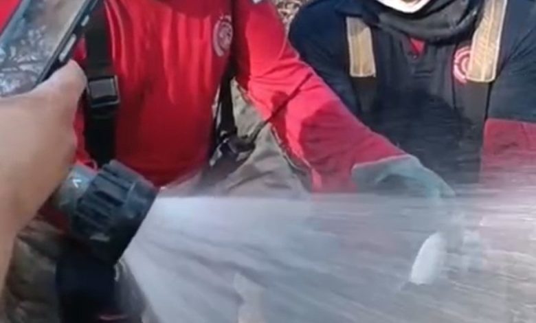 İzmir yangınında itfaiyeciler balığı kurtardı 1 izmir yangininda itfaiyeciler baligi kurtardi e3ff6a0caa41 |