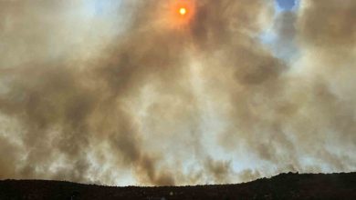 izmirde alevlerin yaklastigi mahalle tahliye edildi d35af12de117 |