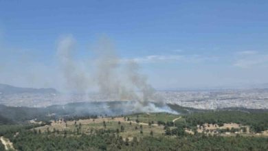 izmirde yeni orman yangini bucaya havadan ve karadan mudahale 21da6945b04e |