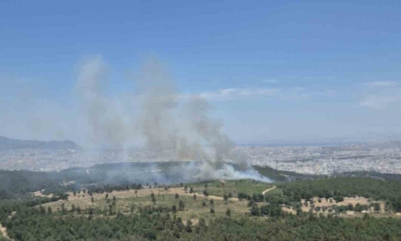 İzmir’de yeni orman yangını: Buca’ya havadan ve karadan müdahale 1 izmirde yeni orman yangini bucaya havadan ve karadan mudahale 21da6945b04e |