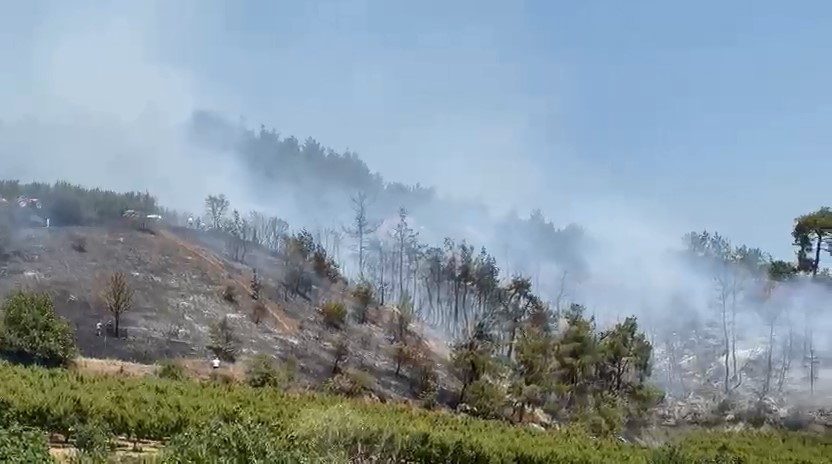 iznikte orman yangini kontrol altina alindi e6d167983486 |