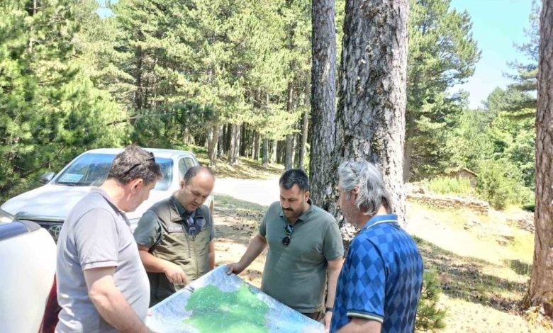 kazdagi milli parkinda gelisme plani calismalari suruyor 8a17c726552d |