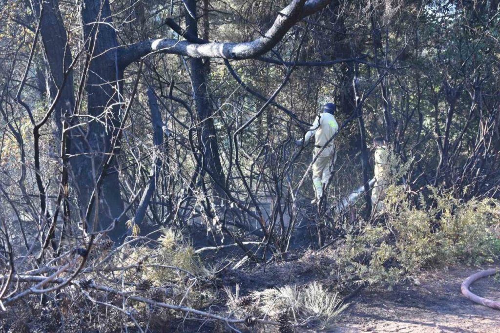 kemalpasada tirdan ormanlik arana sicrayan yangin kontrol altinda eb573834e417 |