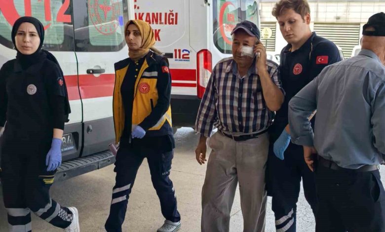 Kendini serinletmeyen bahçıvanı darp etti 1 kendini serinletmeyen bahcivani darp etti 81960cd6d47a |