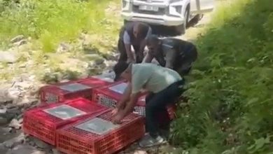 kene ile mucadele timleri dogaya salindi 7d18eef7631d |