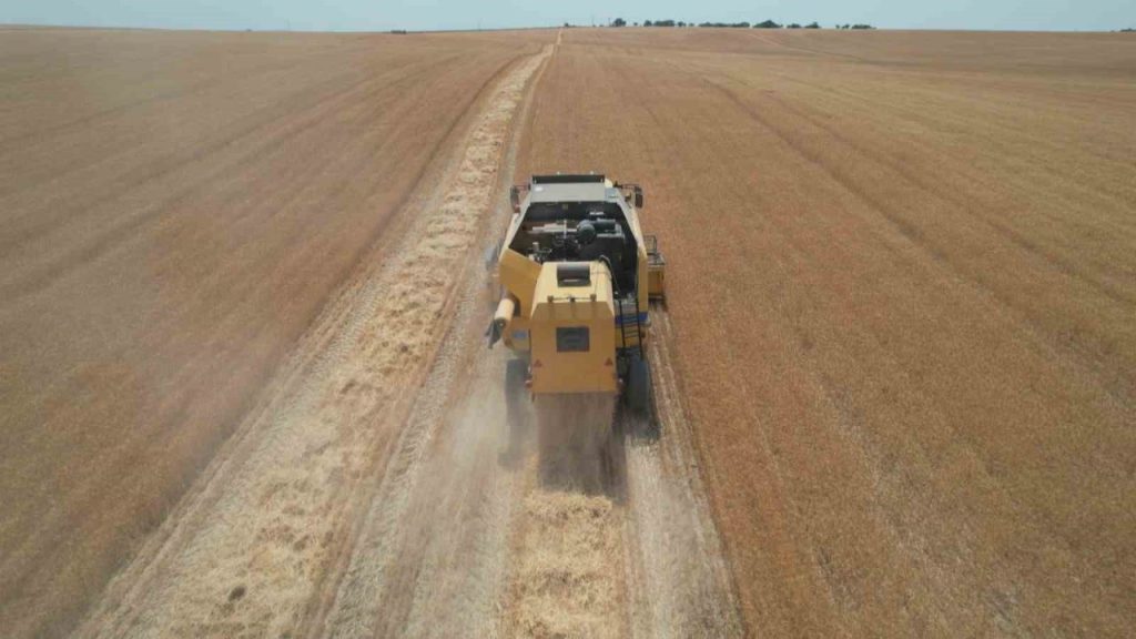 kurak yila ragmen umut veren hasat verimde yuzde 30 artis 3d0f02a71e7f |