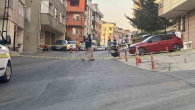 maltepede kamyonetin carptigi kadin hayatini kaybetti kacan sofor yakalandi 054edbf929c8 |