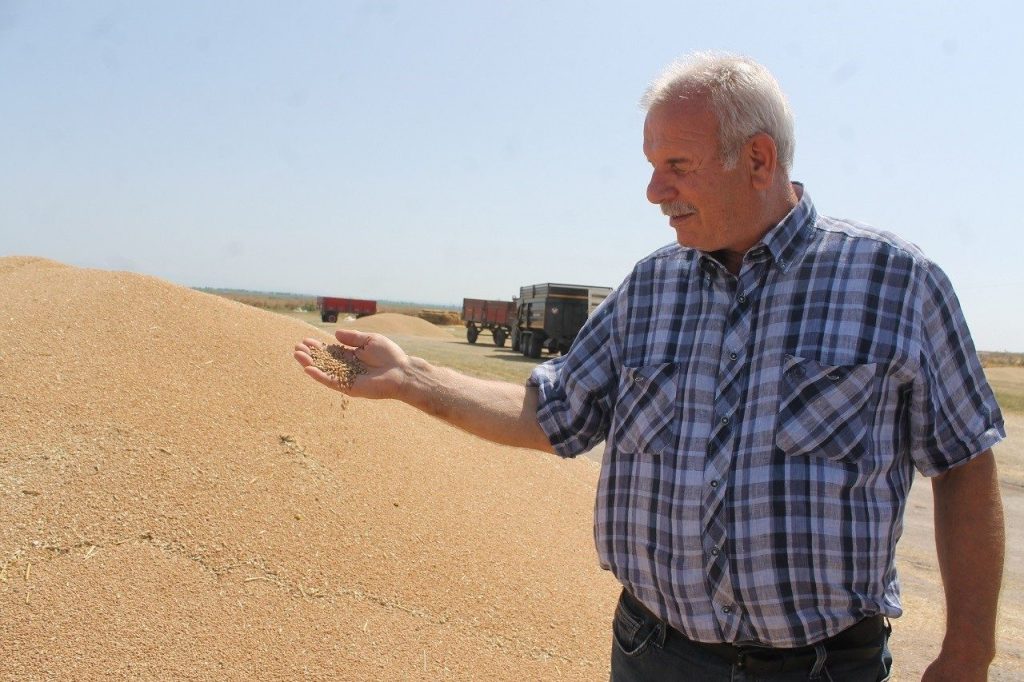 manyasta hububat verimi ureticinin yuzunu guldurdu ca63f634eb6a |