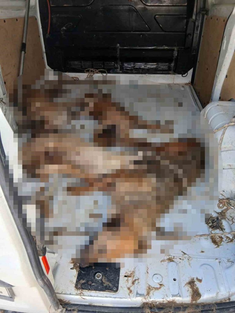 nakil araci degil olum kafesi 5e9463d76f50 |