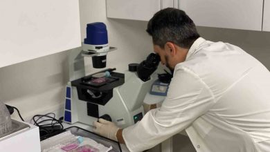 nobel odullu prof dr aziz sancardan kanser arastirmasina tebrik 2d5d7c61d319 |