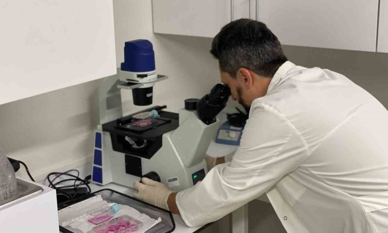 nobel odullu prof dr aziz sancardan kanser arastirmasina tebrik 2d5d7c61d319 |